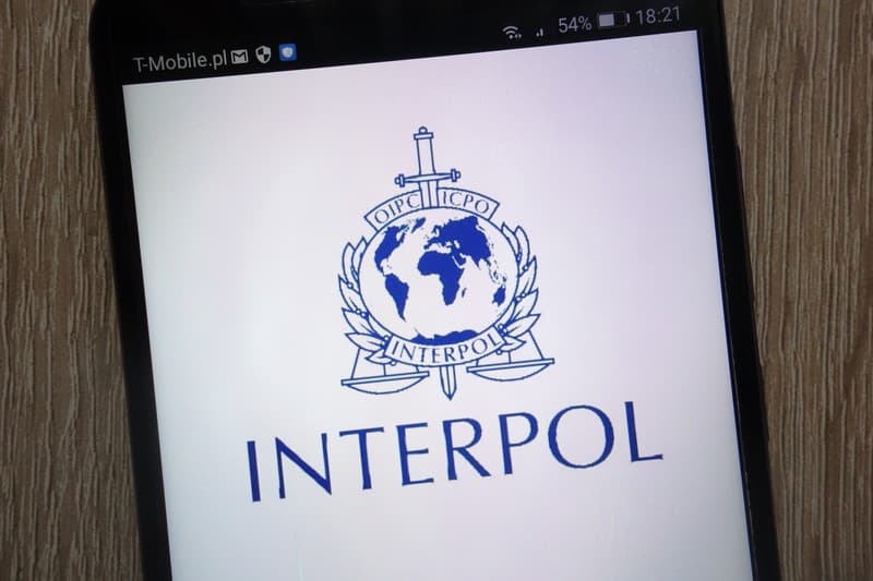 Article Interpol 2